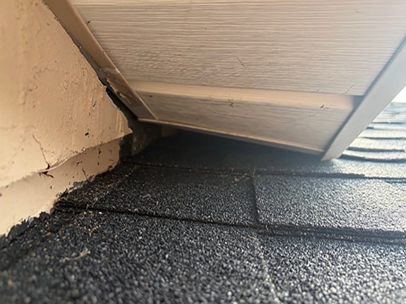 squirrel-rat-entry-point