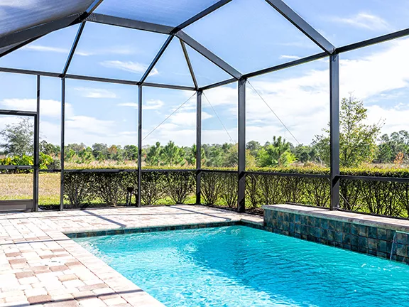 7 Wildlife Risks Around Lanai Screens and Pool Enclosures in Florida