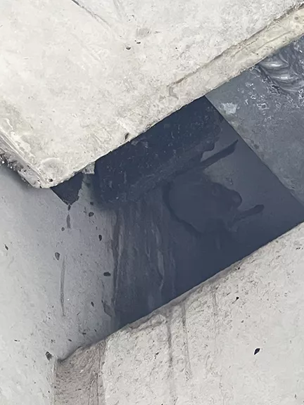 Bat Guano