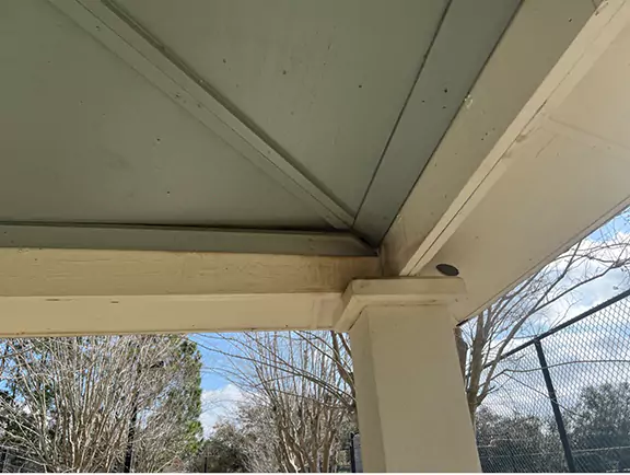 Bat Removal 1