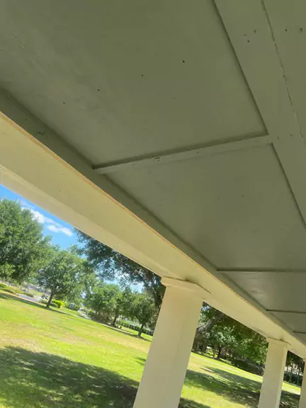 Bat Removal 3