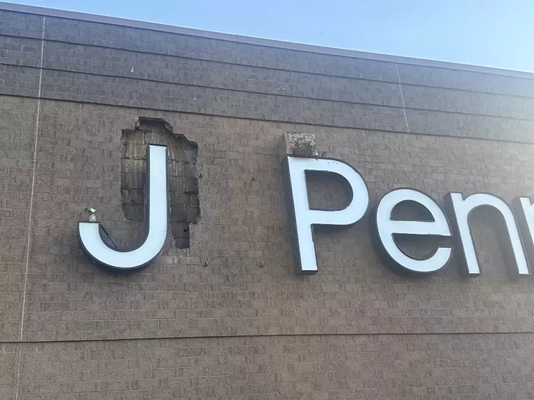 Bee Removal at JCPenney Store