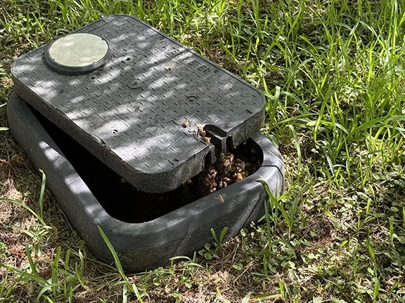 Close up of an in ground Bee Hive in Belleview FL Water Metter Box