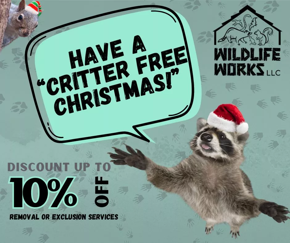 Critter free christmas - Wildlife Works