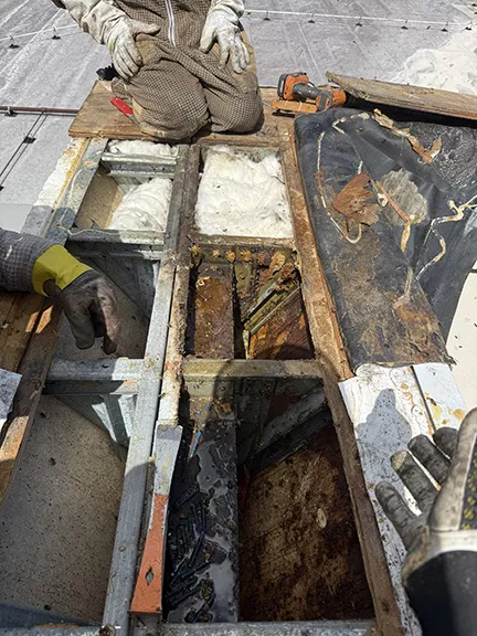 Honey Bee Hives Thorughout Building Roof Infrastructure