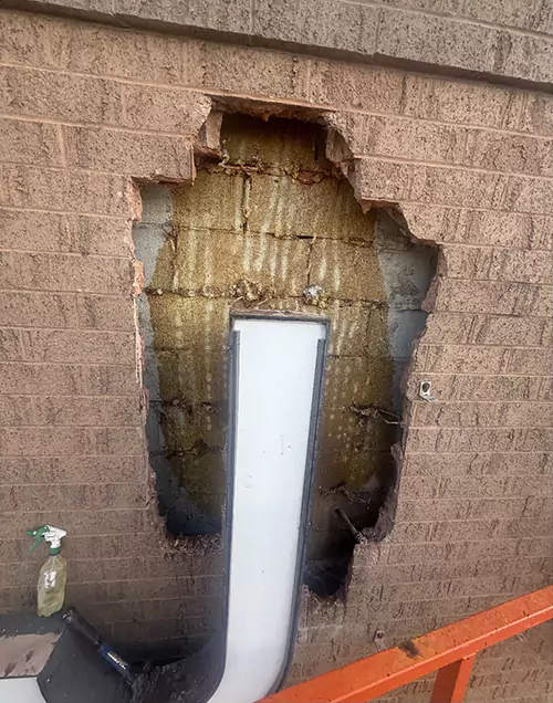 Honey residue after bee removal