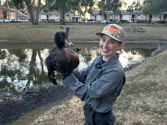 Muscovy Duck Removal in Ocala - Wildlife Works
