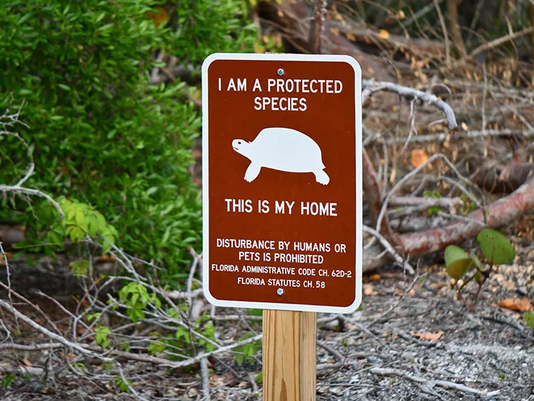 Permitting and Relocation Considerations for Commercial Projects