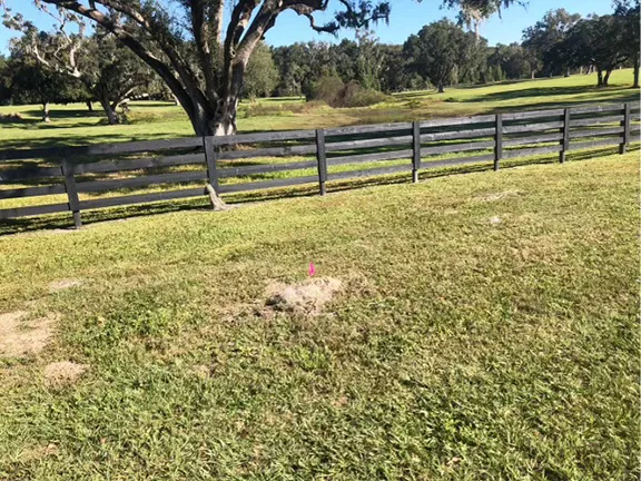 Pocket Gopher Control