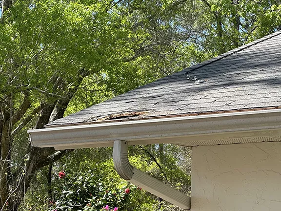 Raccoon Attic Intrusion and Roof Damage – Dunnellon, Florida