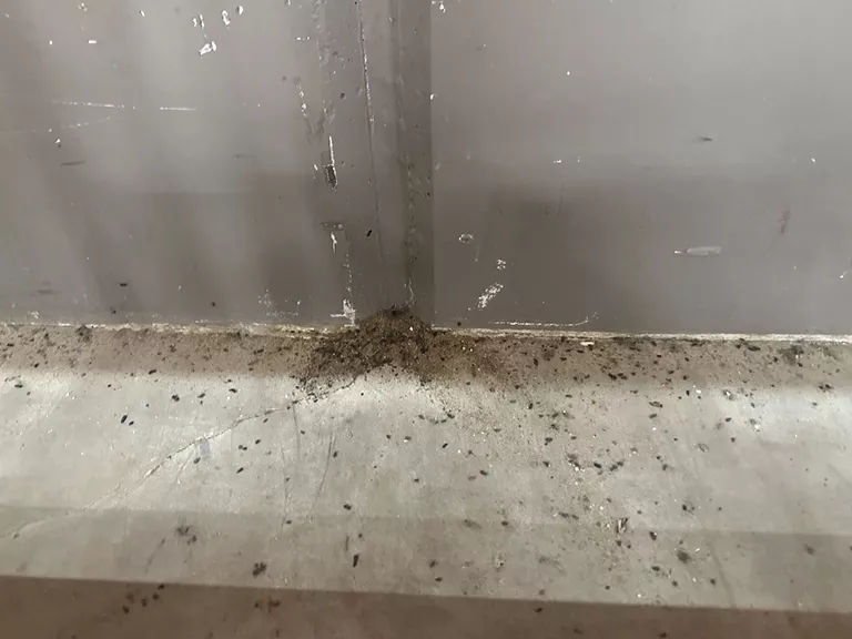 Signs of Bat Activity in a warehouse