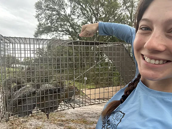 Squirrel Removal Services - Wildlife Works