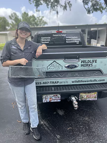Wildlife Works Agent - H2