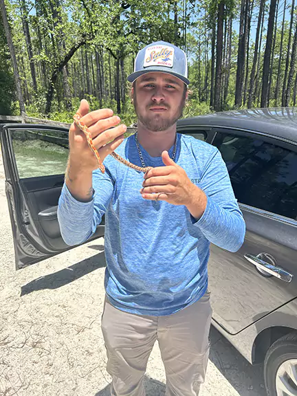 Wildlife Works Employee Removing a Snake from a Home