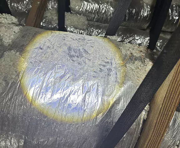 rat foot prints on insulation